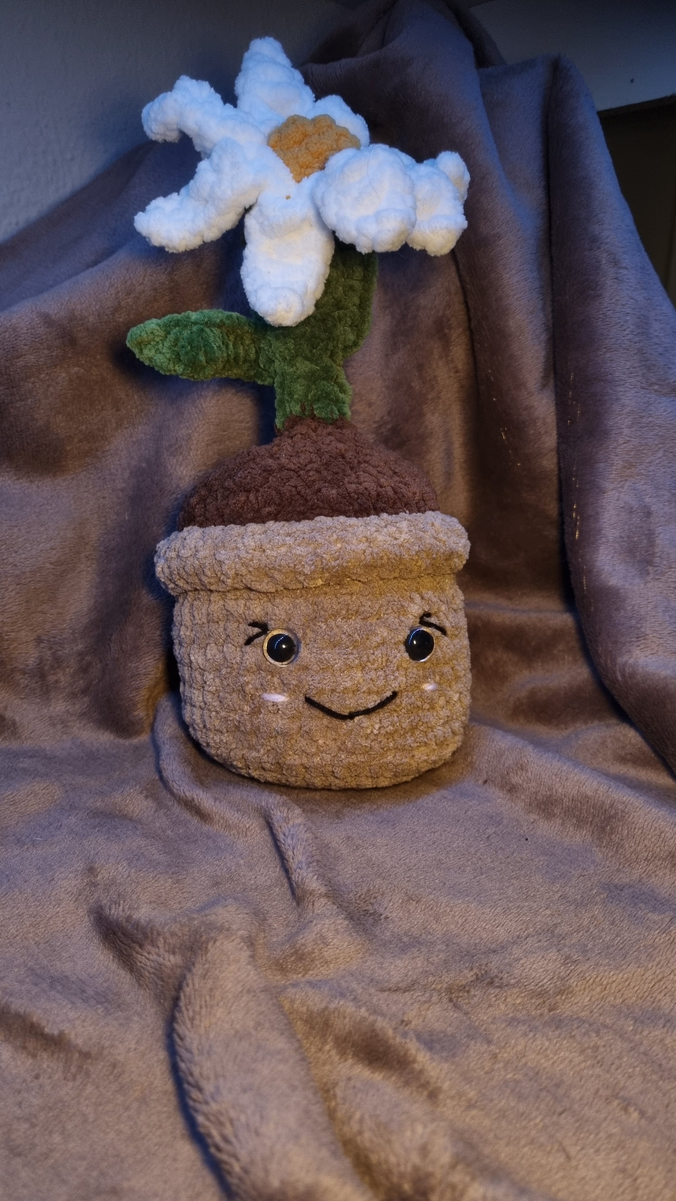 Big plush plant
