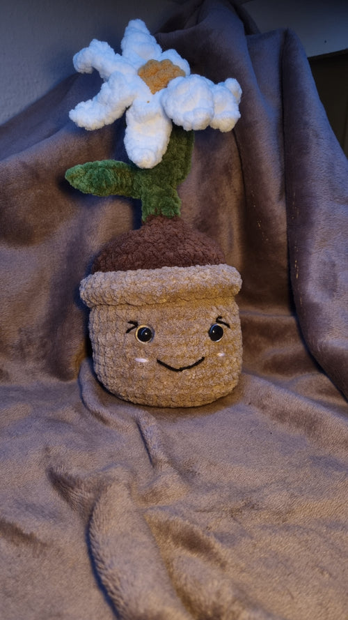 Big plush plant