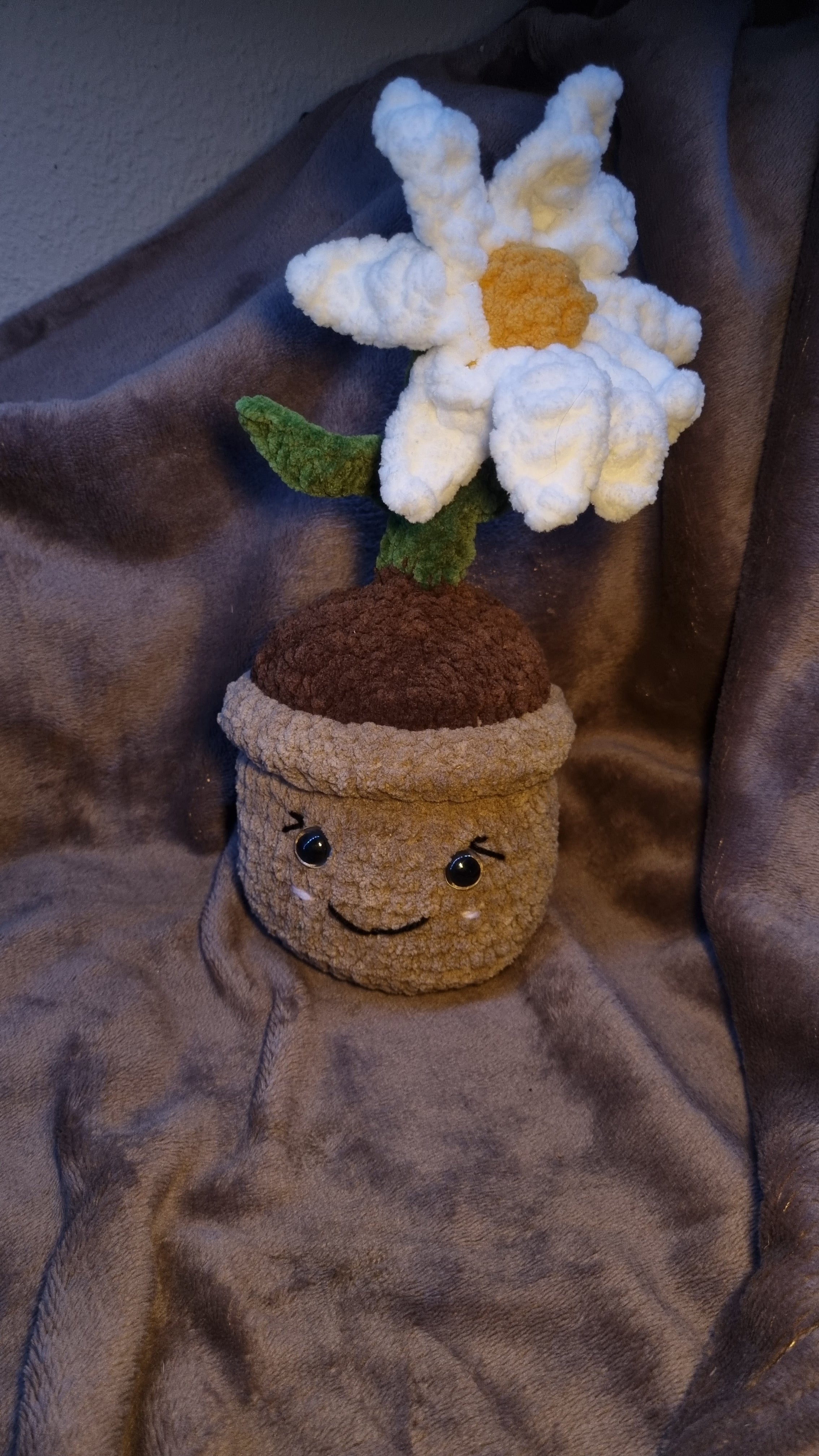Big plush plant